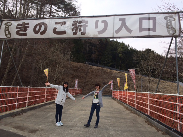 きのこ狩りの手順 1