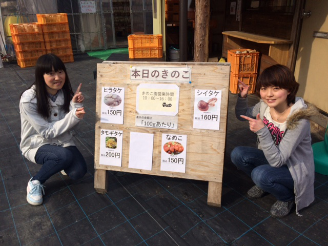 きのこ狩りの手順 2