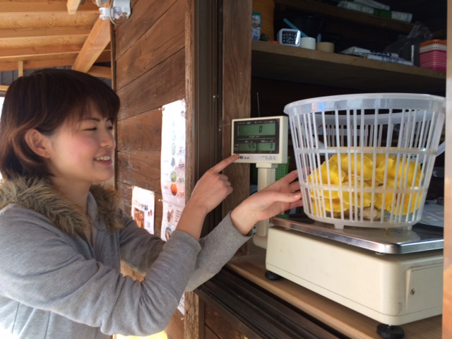 きのこ狩りの手順 5