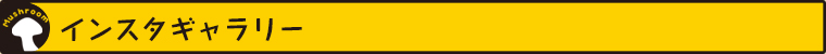 インスタギャラリー